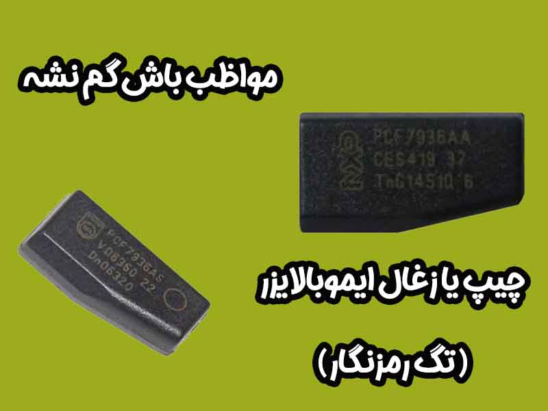 چیپ یا زغال ایموبالایزر (تگ رمزنگار)