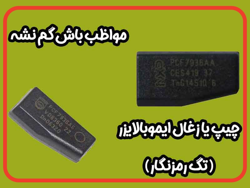 چیپ یا زغال ایموبالایزر (تگ رمزنگار)